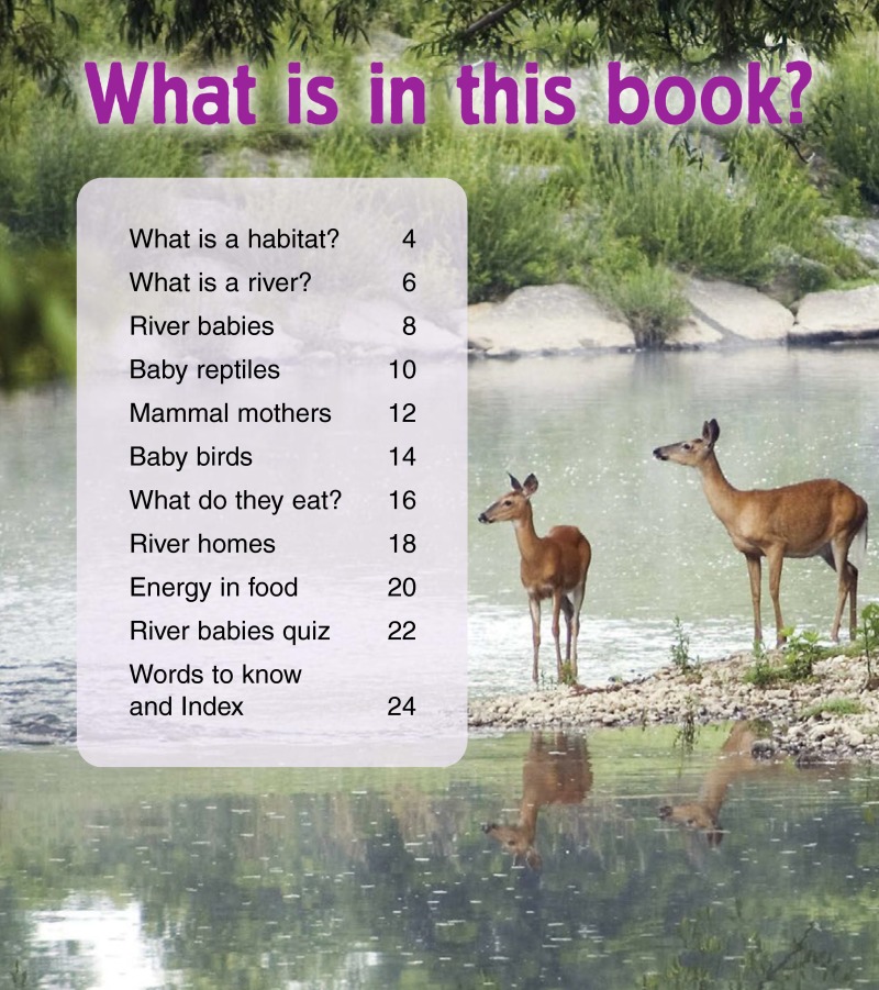 Baby Animals in Rivers book cover