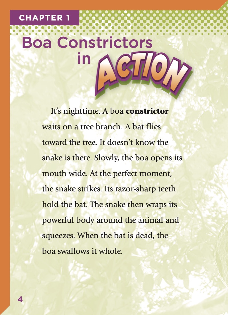 Slithering Snakes: Boa Constrictors — page 1