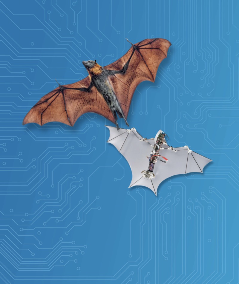 Beastly Bionics book cover