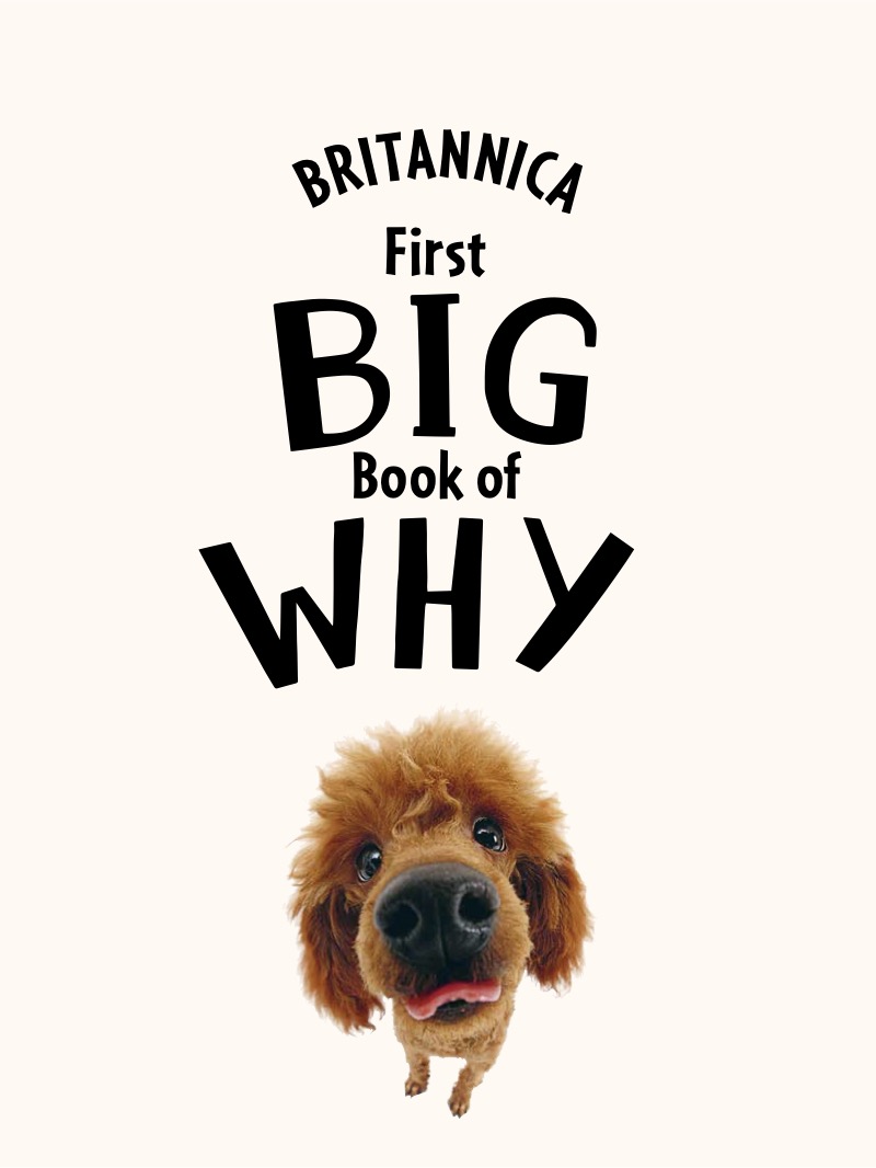 Britannica First Big Book of Why book cover