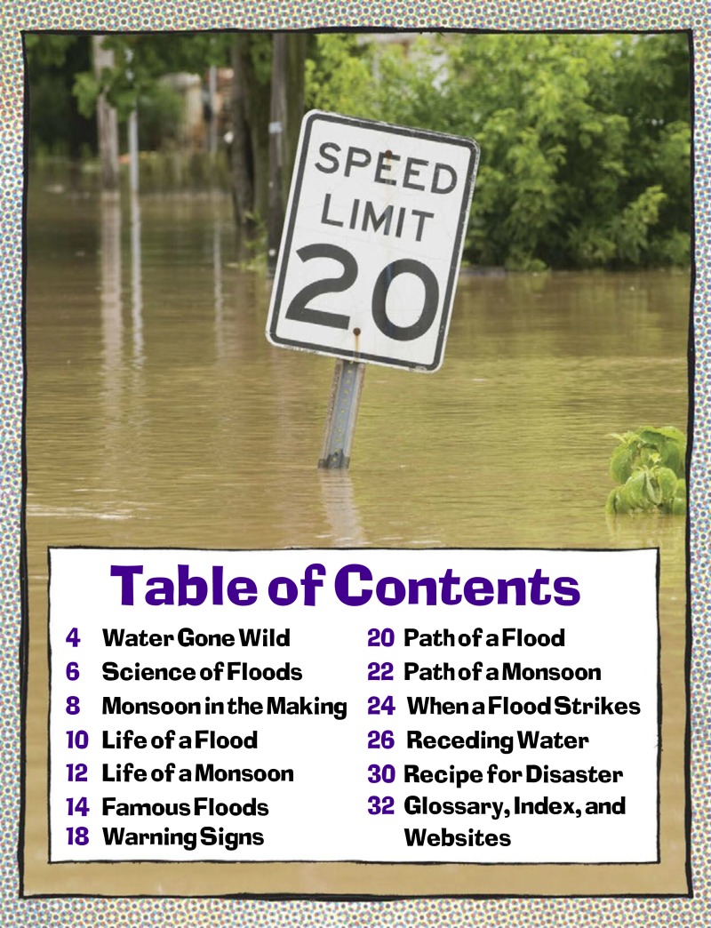 Flood and Monsoon Alert! book cover
