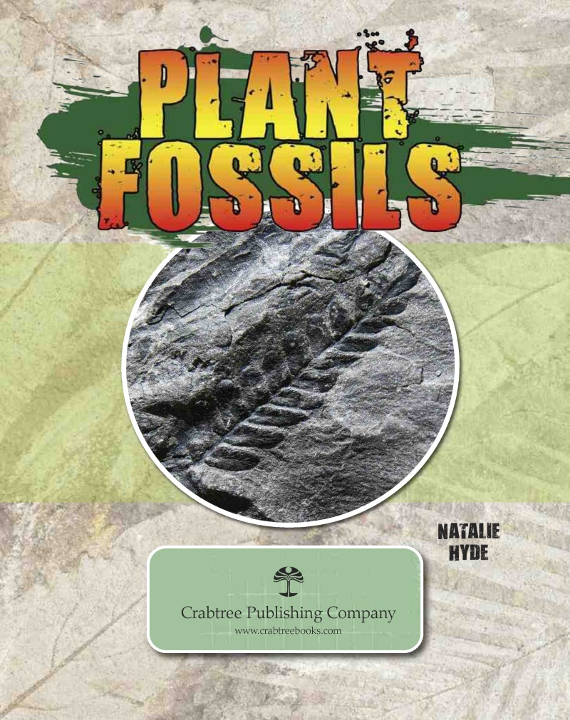 Plant Fossils book cover
