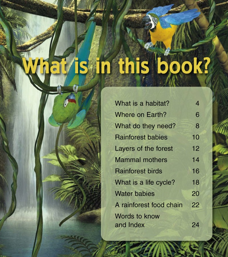 Baby Animals in Rainforest Habitats book cover