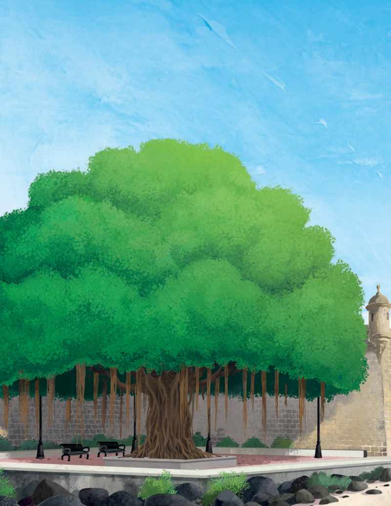 The Tree of Hope: The Miraculous Rescue of Puerto Rico’s Beloved Banyan — page 1