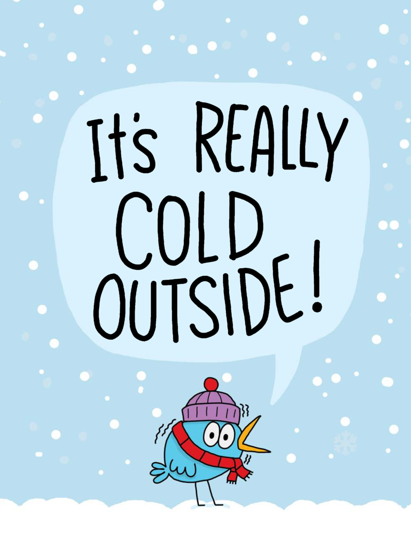 It's Really Cold Outside: A Really Bird Story book cover