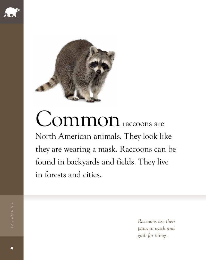 Amazing Animals: Raccoons — page 1