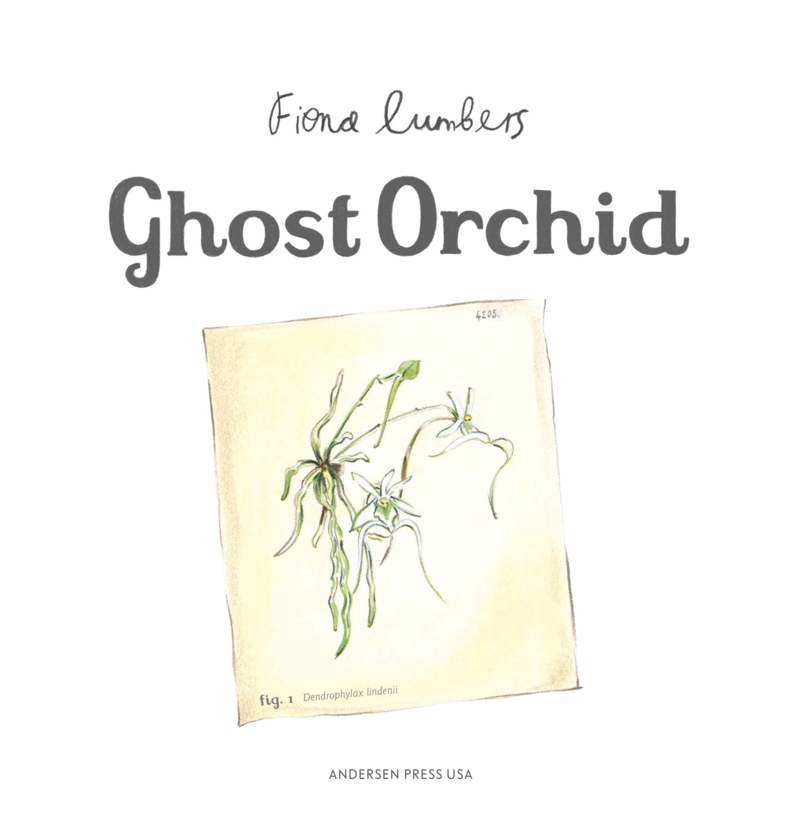 Ghost Orchid book cover