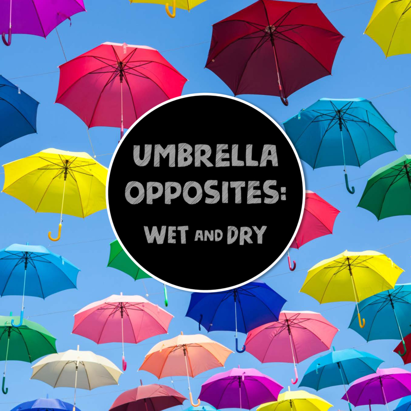Umbrella Opposites book cover