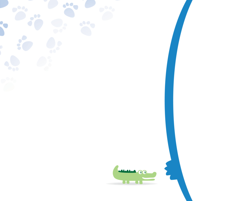 Bernese Mountain Dogs — page 1
