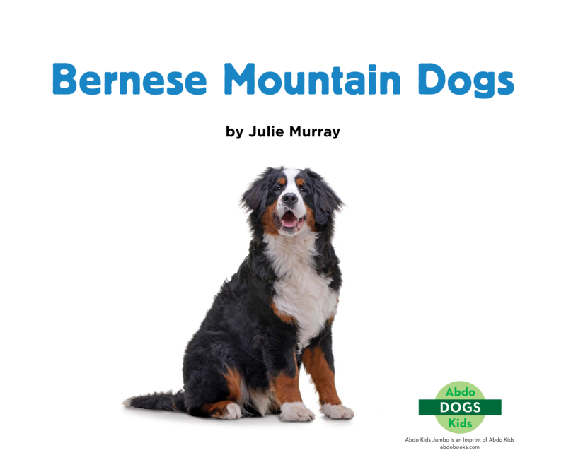 Bernese Mountain Dogs book cover