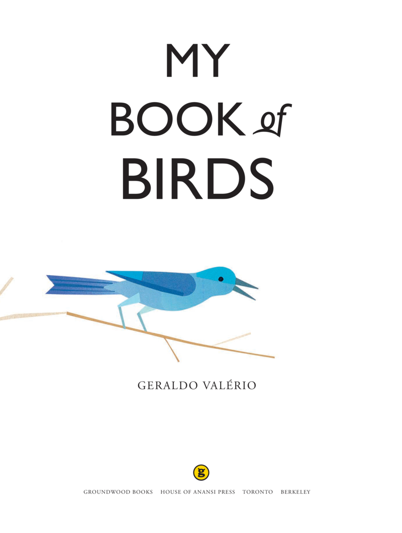 My Book of Birds book cover