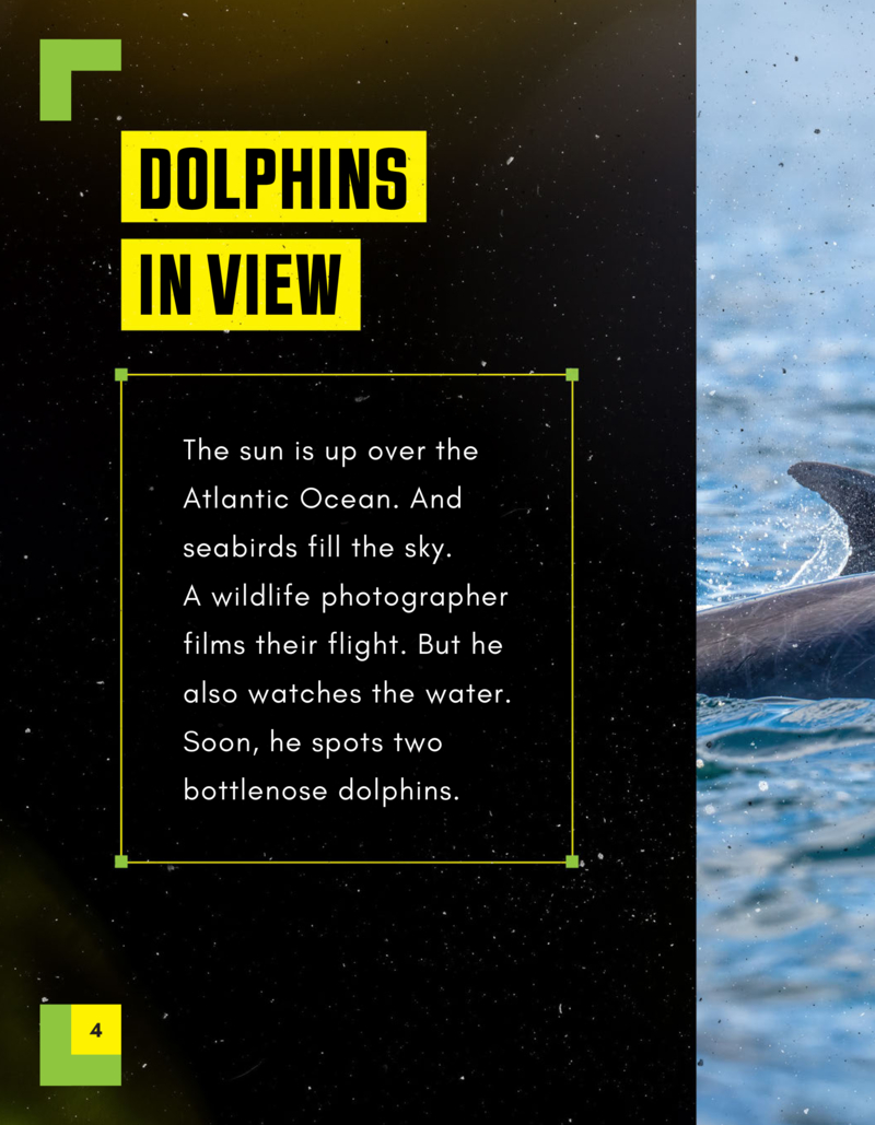 Bottlenose Dolphins: Very Social Swimmers — page 1