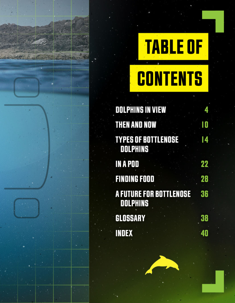 Bottlenose Dolphins: Very Social Swimmers book cover