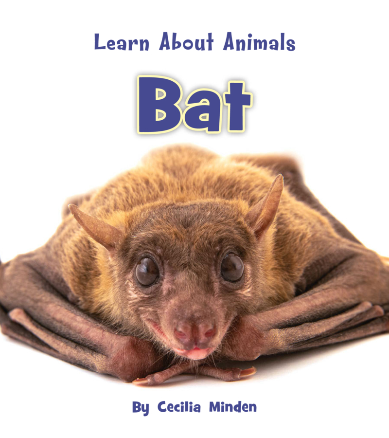 Bat book cover