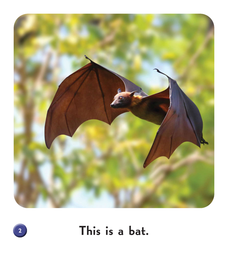 Bat — page 1