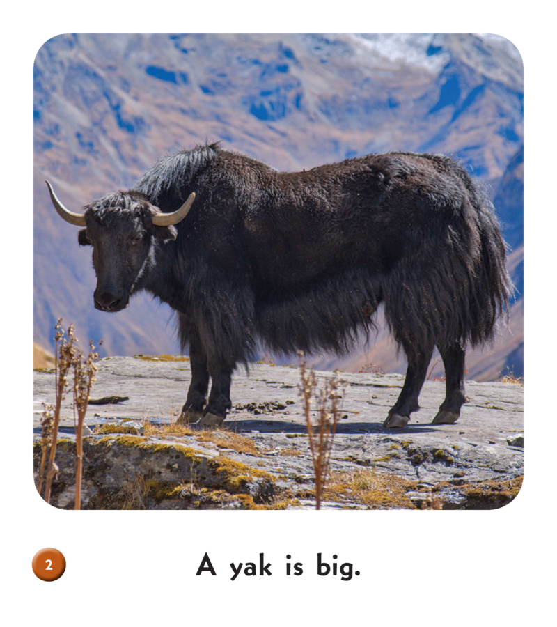 Yak — page 1