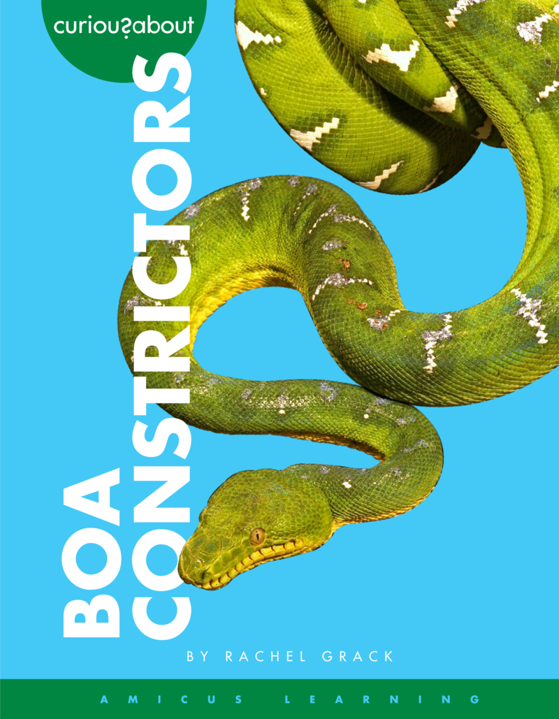 Curious about Boa Constrictors book cover