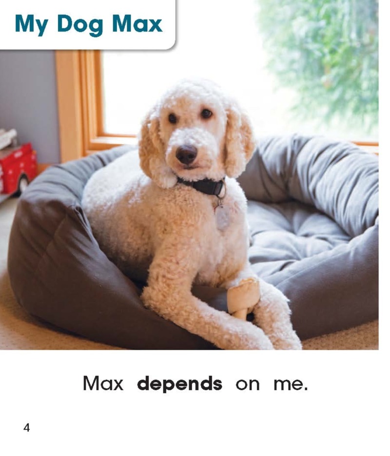 How I Care for My Pet — page 1