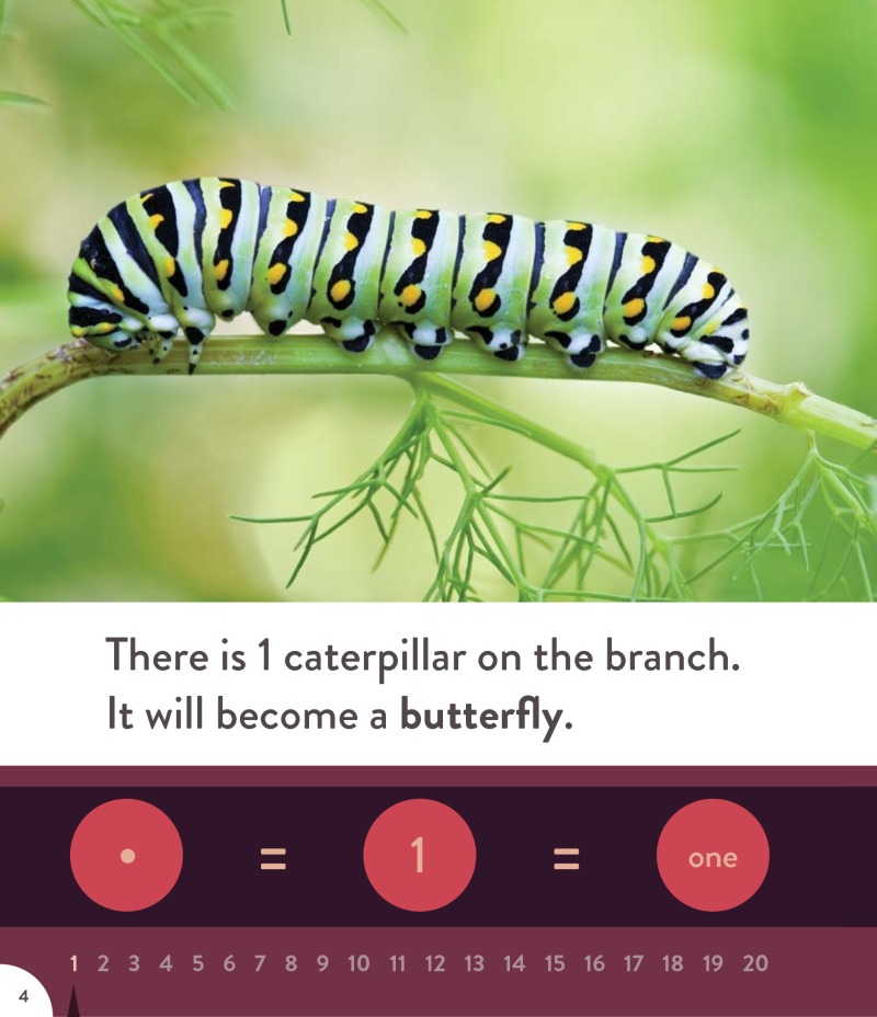 Know Your Numbers: Nature — page 1