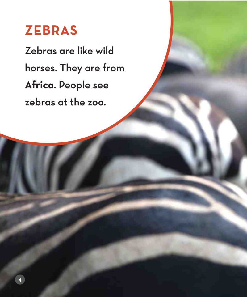 Zoo Animals: Zebras — page 1