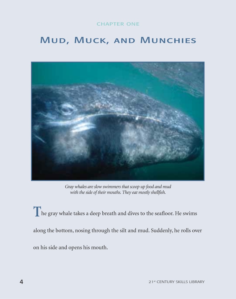 Road To Recovery: Gray Whale — page 1