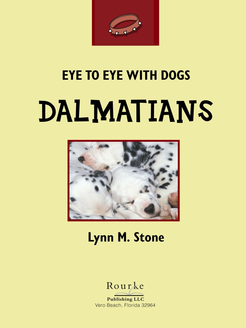 Eye To Eye With Dogs: Dalmatians book cover