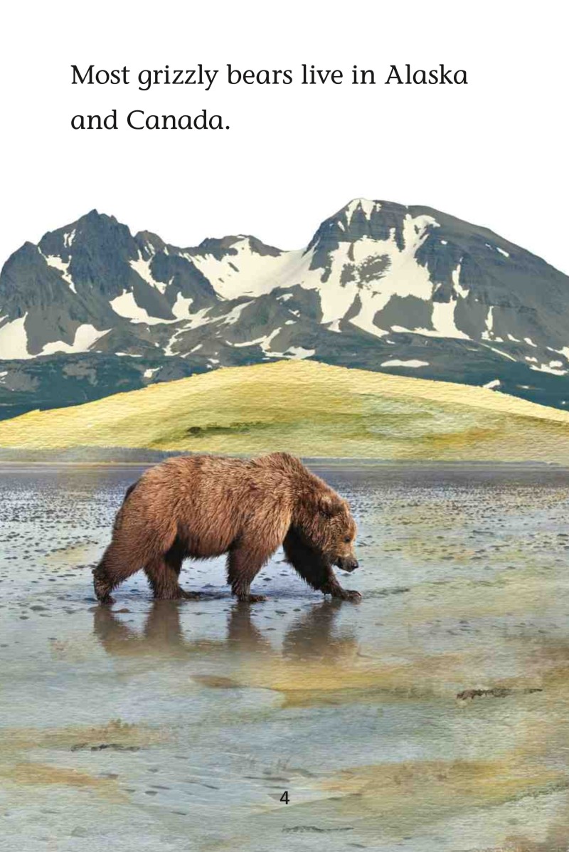Magic Readers: Bears in the Mountains — page 1