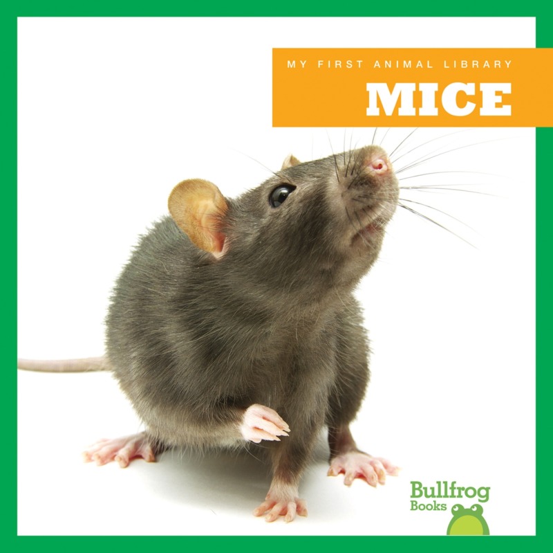 My First Animal Library: Mice book cover