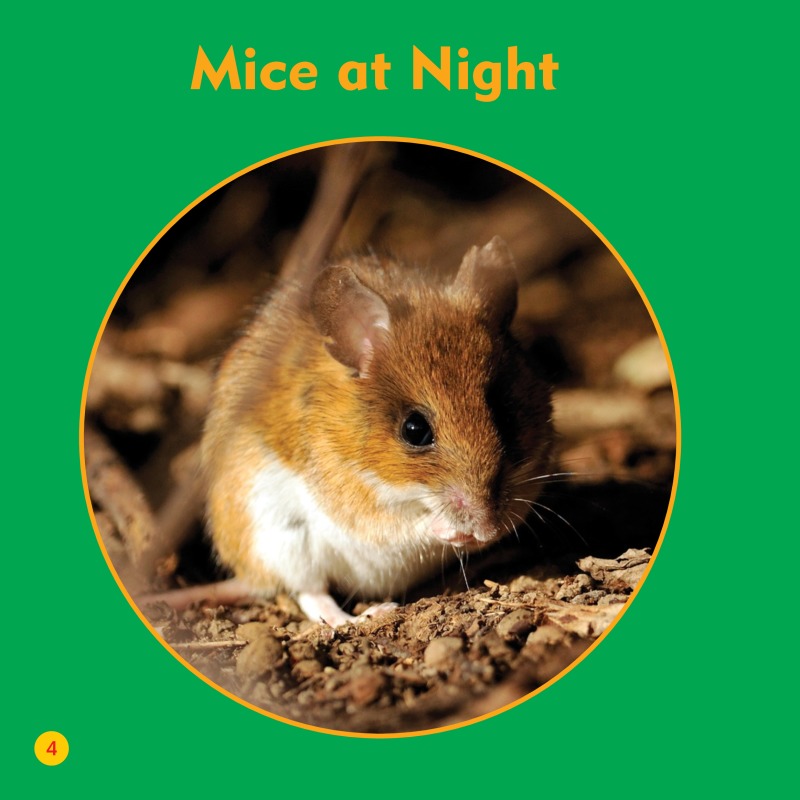 My First Animal Library: Mice — page 1