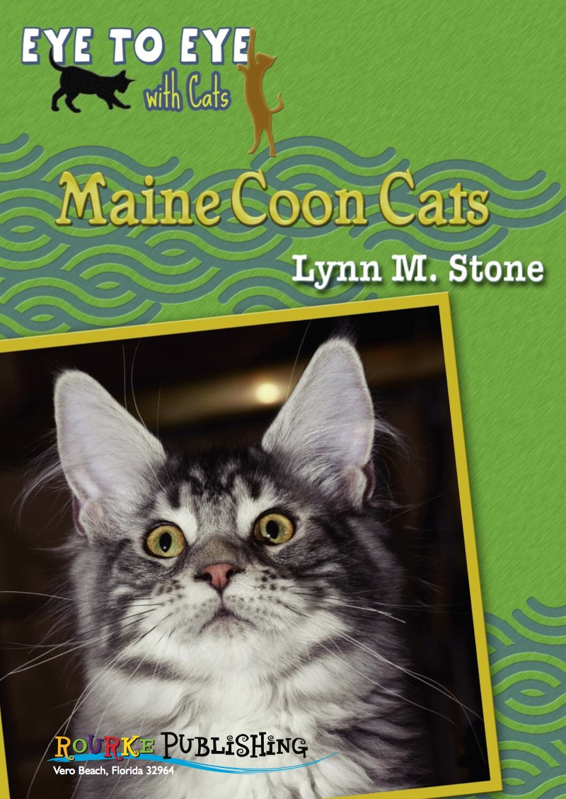 Eye To Eye With Cats: Maine Coon Cats book cover