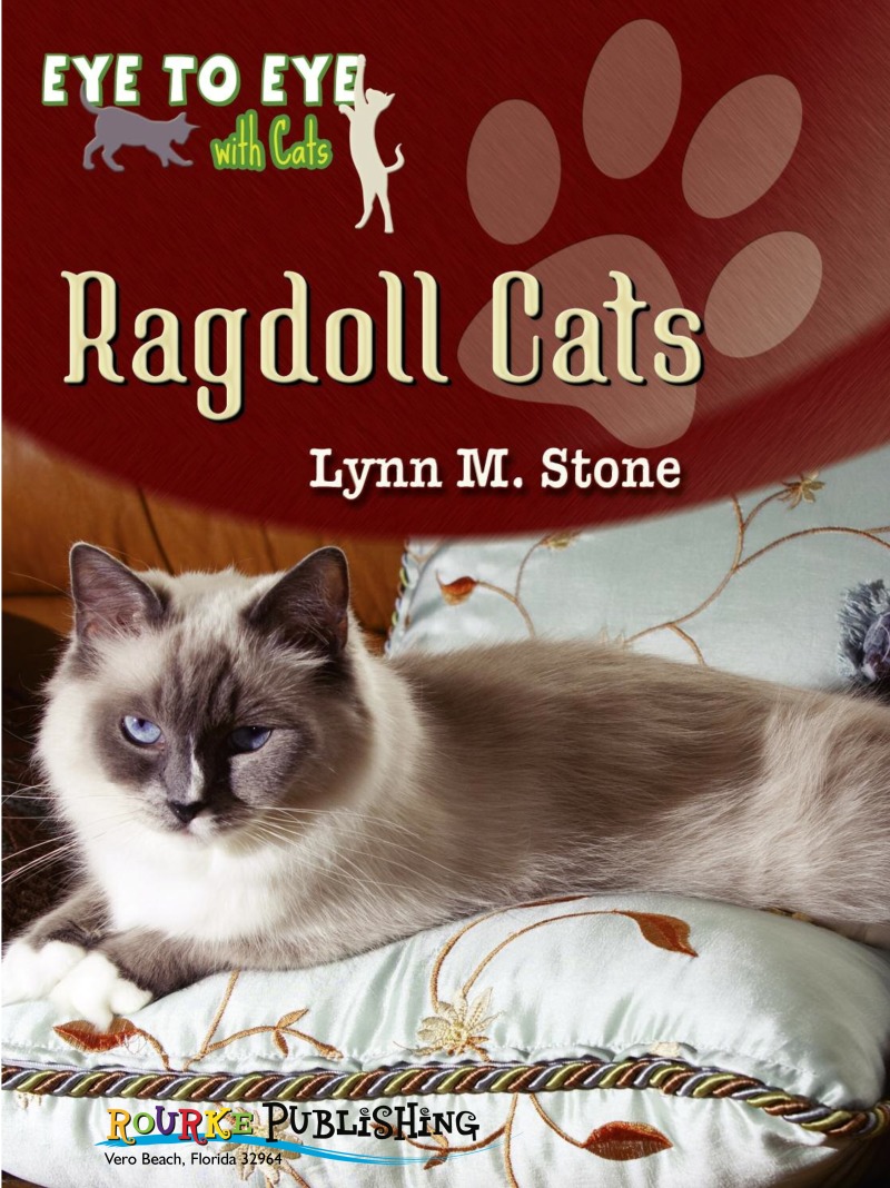Eye To Eye With Cats: Ragdoll Cats book cover