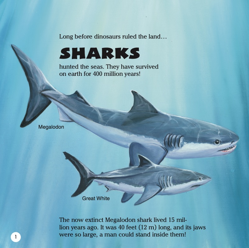 Know It Alls! Sharks — page 1