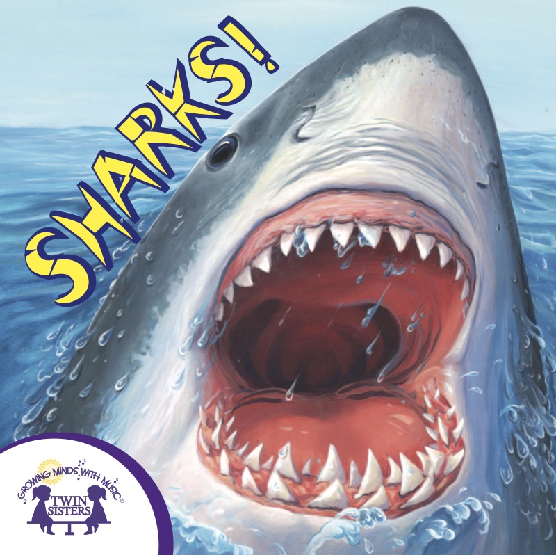 Know It Alls! Sharks book cover