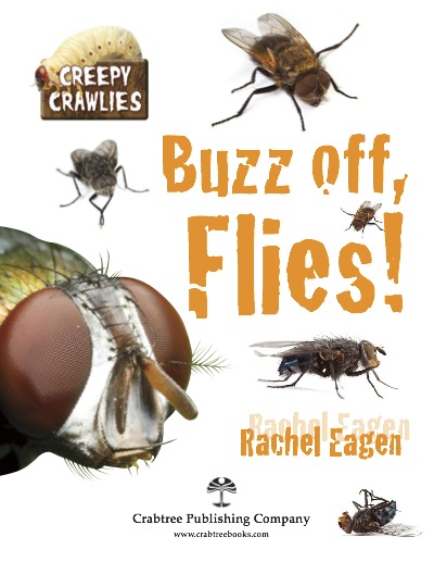 Buzz Off, Flies! book cover