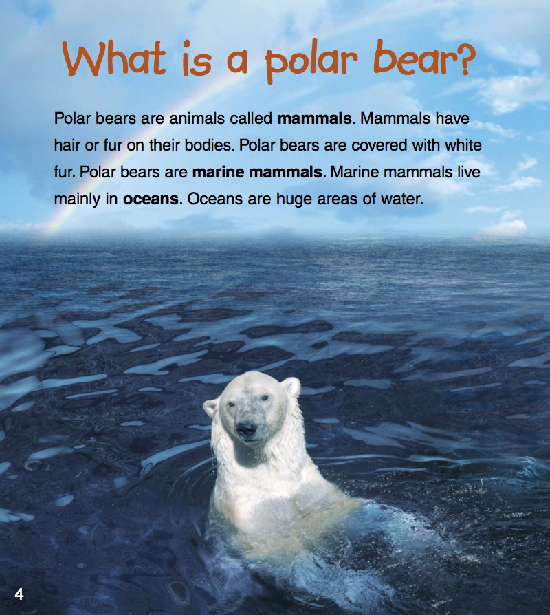 Baby Polar Bears — page 1