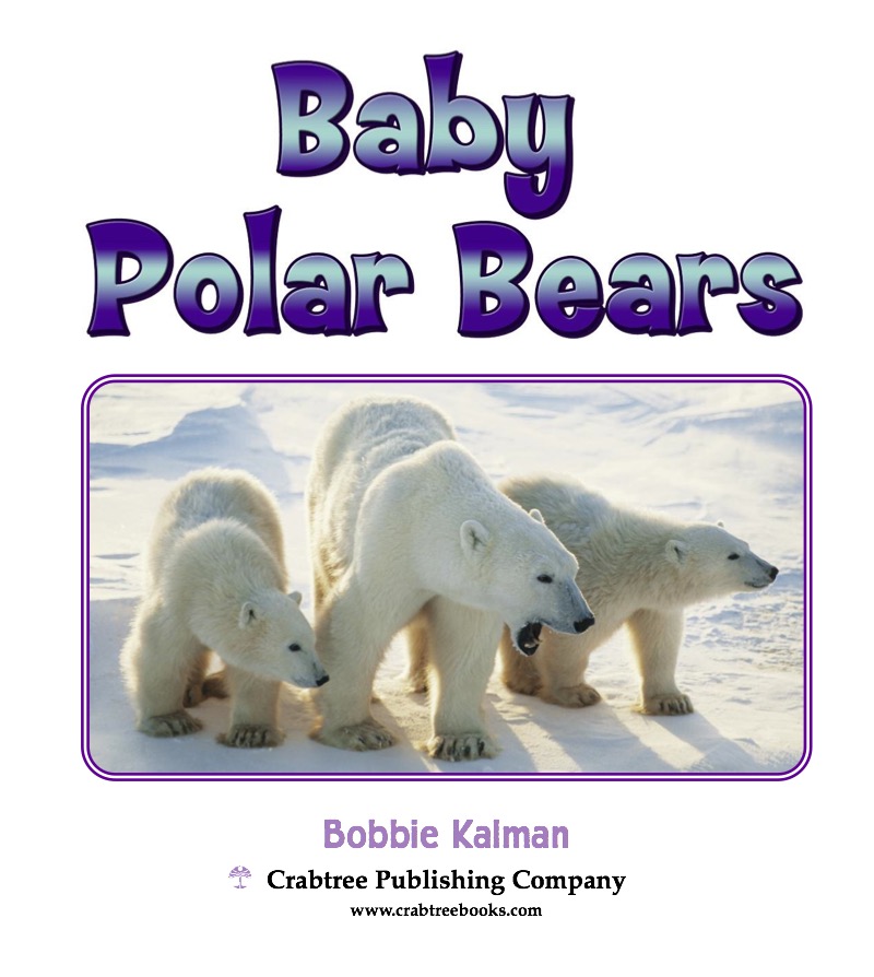 Baby Polar Bears book cover