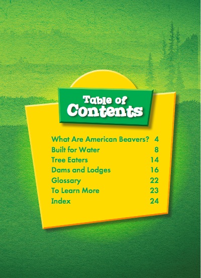 North American Animals: American Beavers book cover