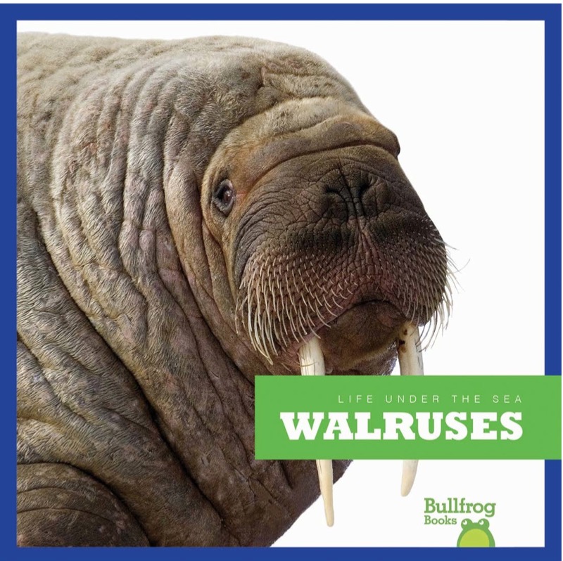 Walruses book cover