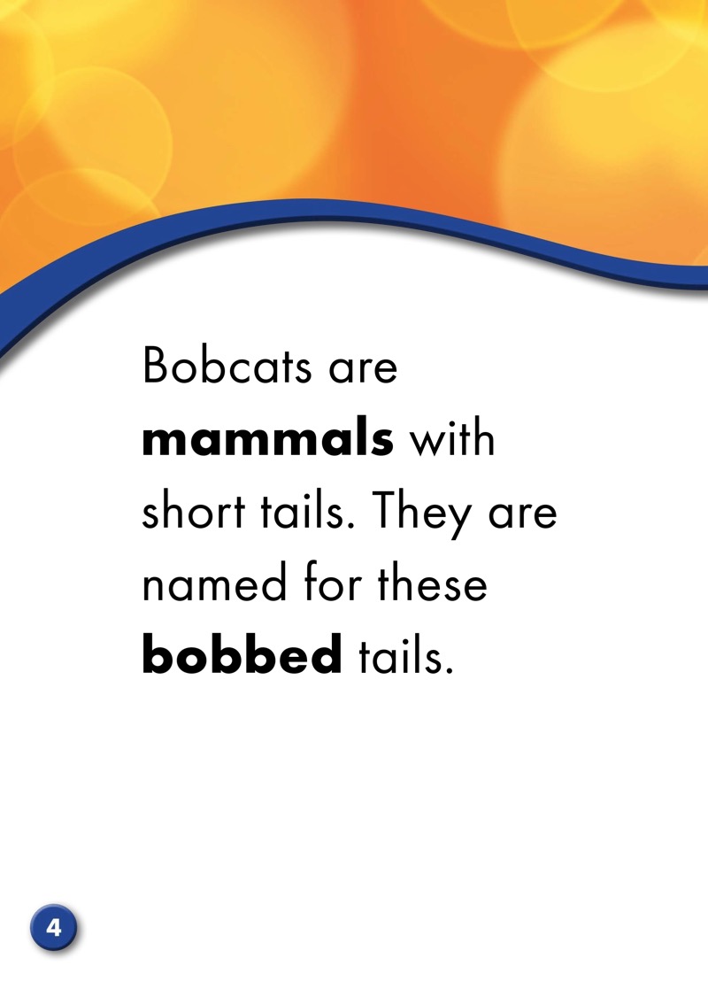 Backyard Wildlife: Bobcats — page 1