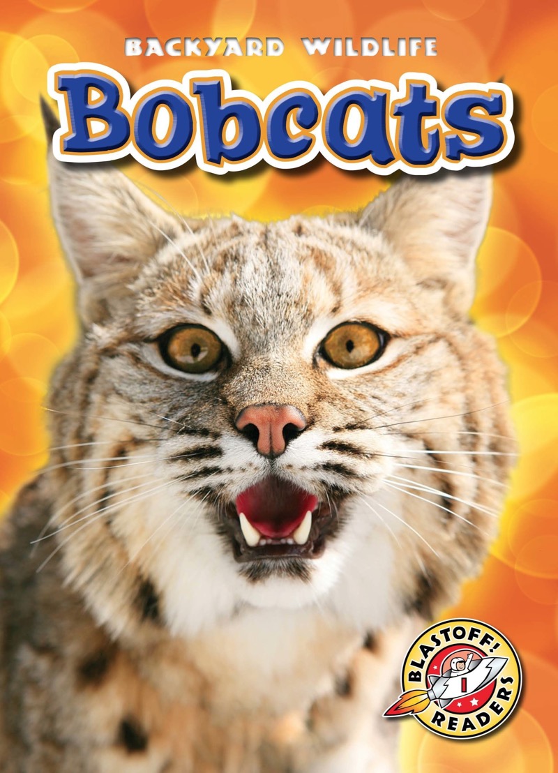Backyard Wildlife: Bobcats book cover