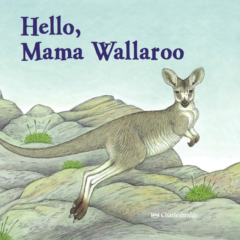 Hello, Mama Wallaroo book cover