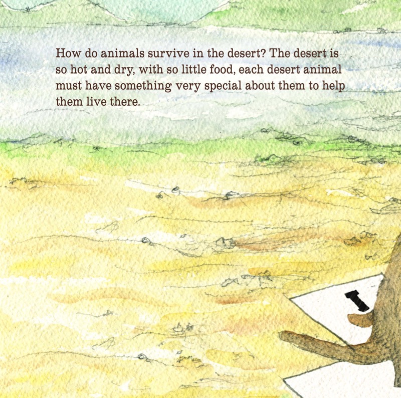 Why Do Camels Have Long Eyelashes? — page 1