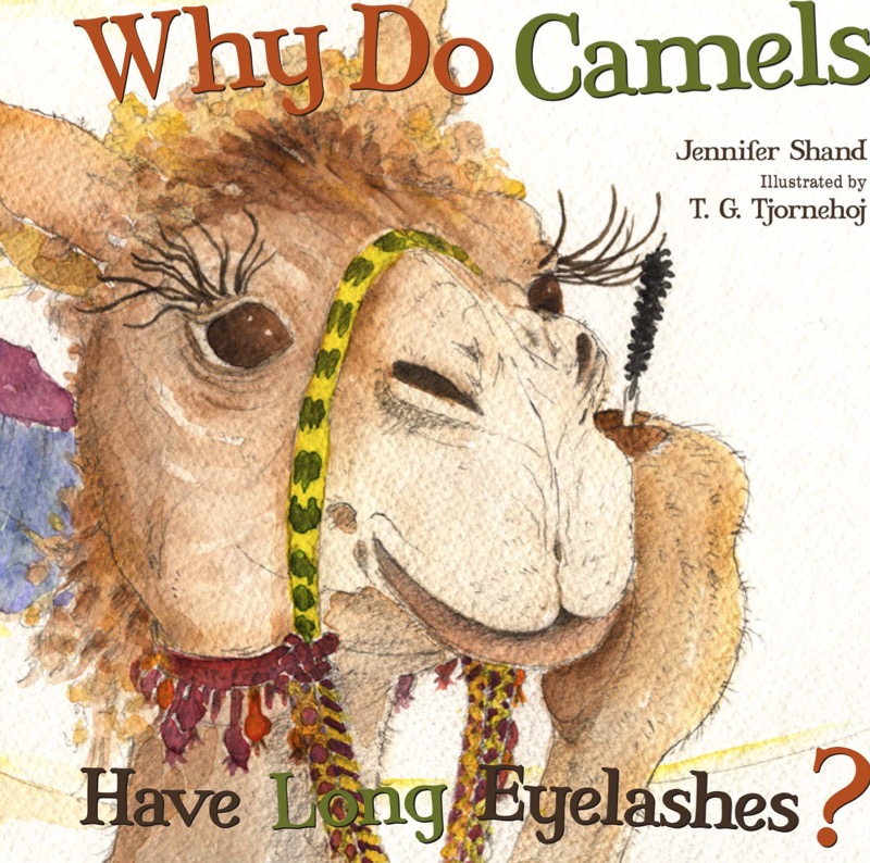 Why Do Camels Have Long Eyelashes? book cover