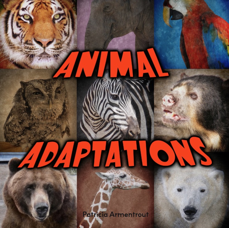 Animal Adaptations book cover