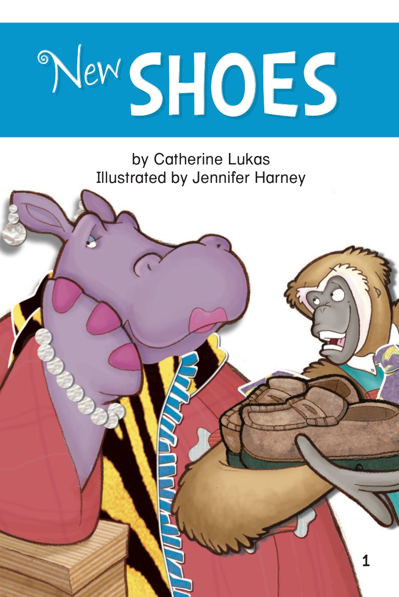 New Shoes book cover