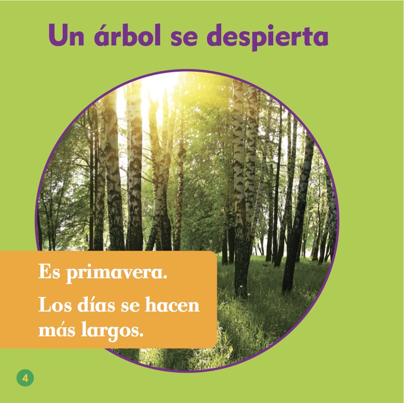 Los árboles en la primavera — page 1