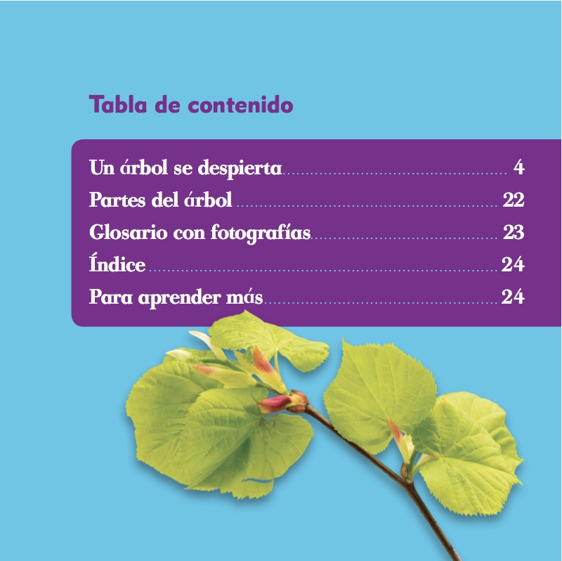 Los árboles en la primavera book cover