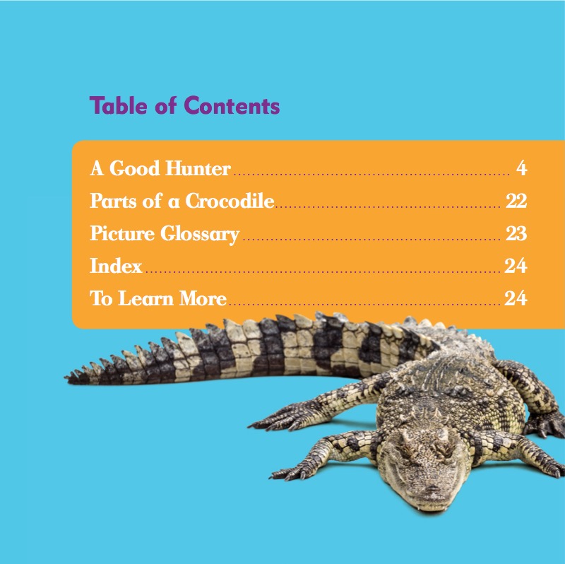Reptile World: Crocodiles book cover