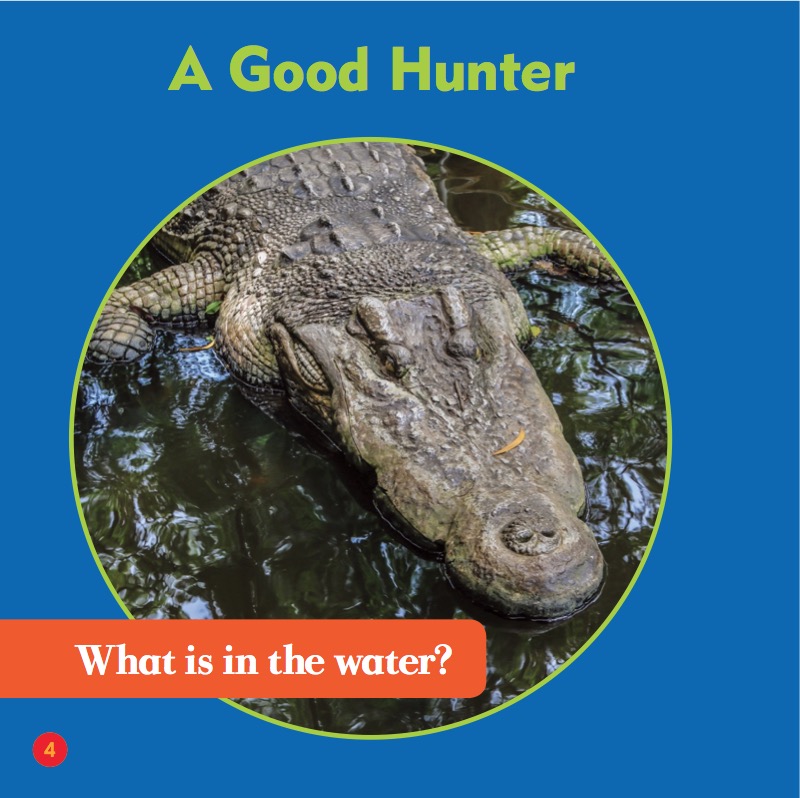 Reptile World: Crocodiles — page 1