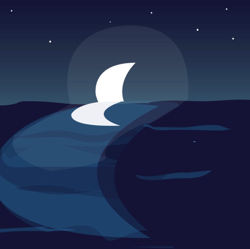 The (Not) Sleepy Shark — page 1